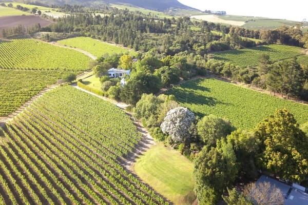 Haskell Vineyards
