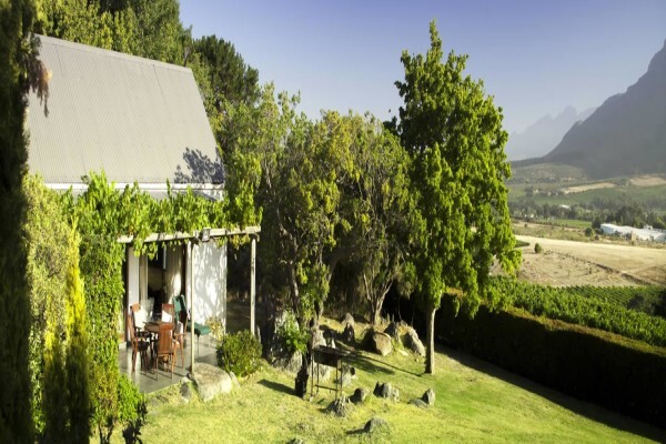 Haskell Vineyards