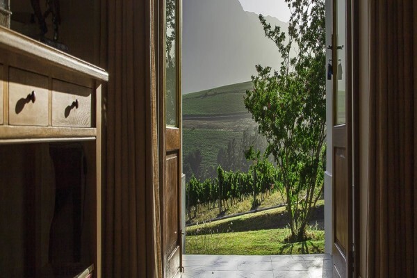 Haskell Vineyards