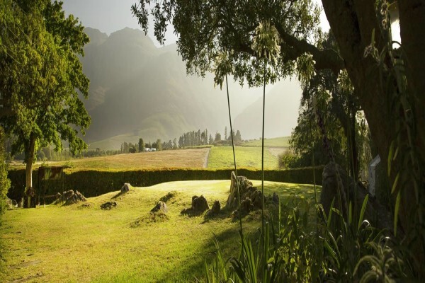 Haskell Vineyards