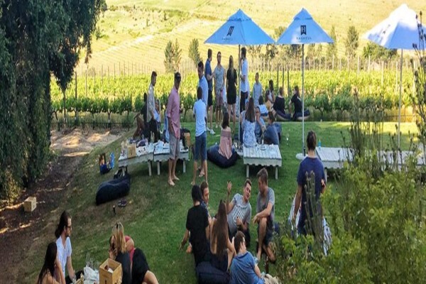 Haskell Vineyards