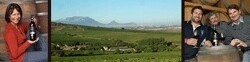 Kaapzicht Wine Estate