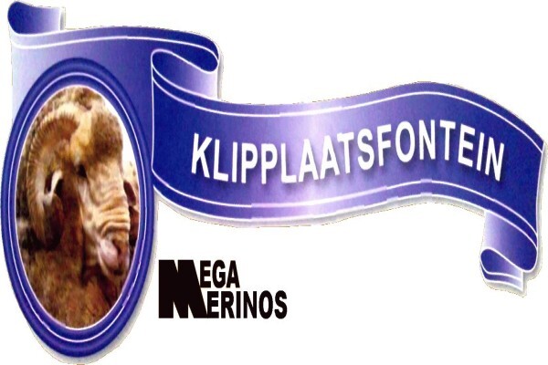 Pienaar Jacques