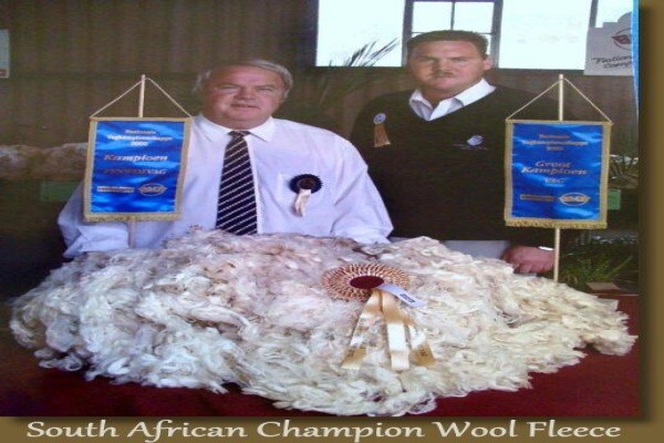 Pienaar Jacques