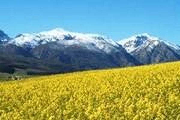 Greyton Accommodation