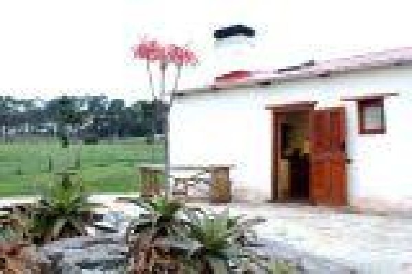 Greyton Accommodation