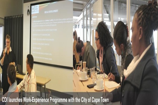 Cape Craft & Design Institute