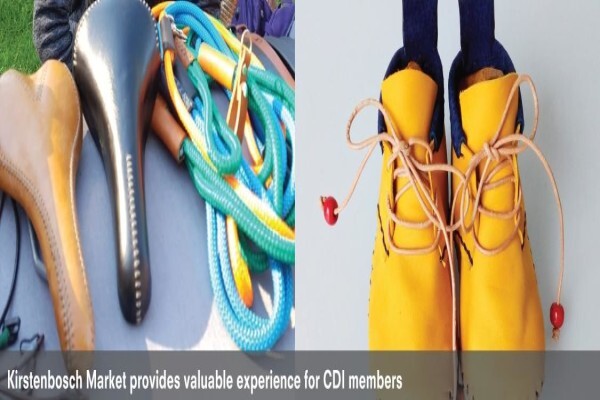 Cape Craft & Design Institute