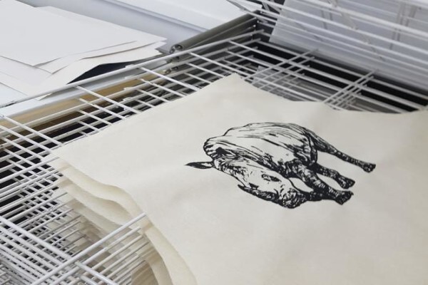 Ruth Prowse School Of Art