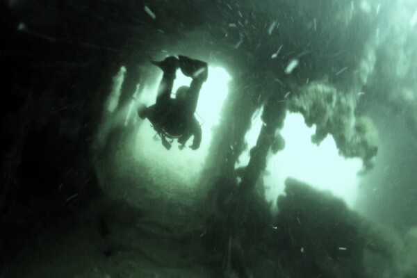 Dive Action