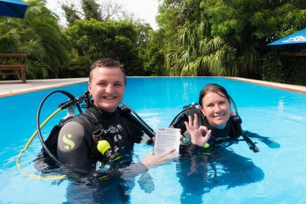 Pro Dive