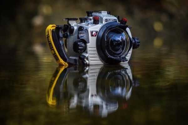 Dive Action