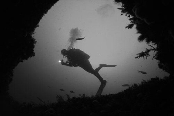 Dive Action
