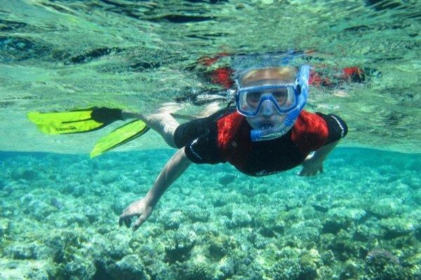 Pro Dive