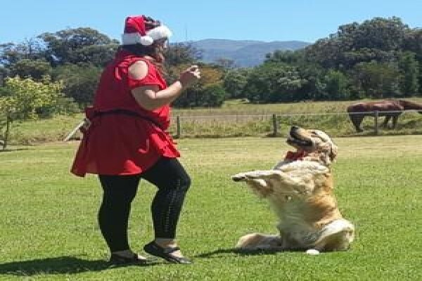 Dog Dynamics