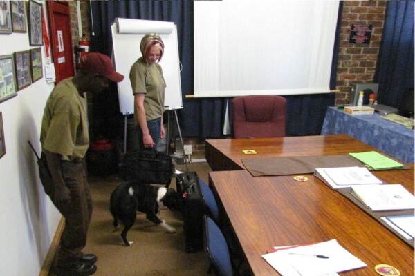 Braveheart Bio Dog Academy