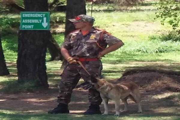 Braveheart Bio Dog Academy