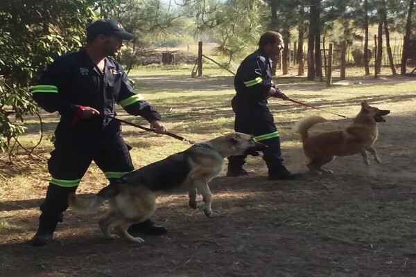 Braveheart Bio Dog Academy