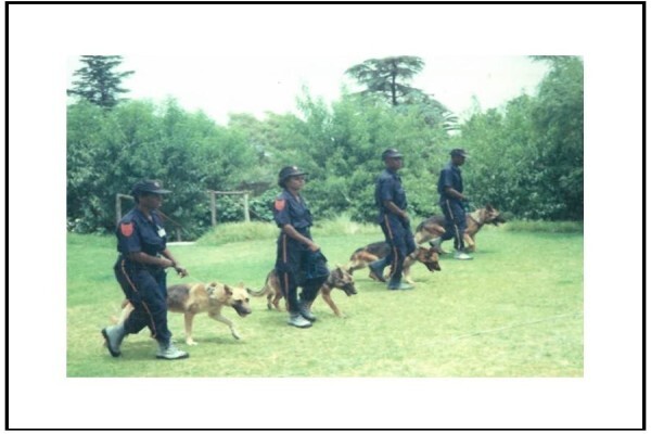 Braveheart Bio Dog Academy