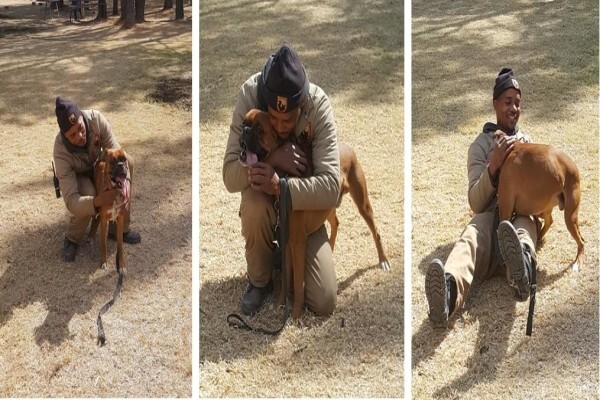 Braveheart Bio-Dog Academy