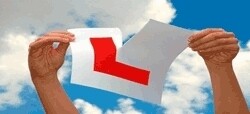 Nceduluntu Driving School