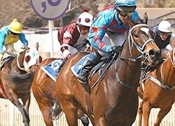 Phumelela Gaming & Leisure Ltd