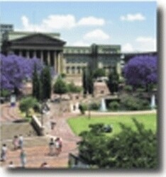 Wits Language School