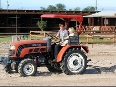 Thandeka Stables