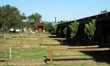 Thandeka Stables