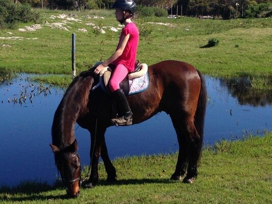 Sleepy Hollow Horse Riding