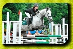 Equestrian International Stables (Lovgren)