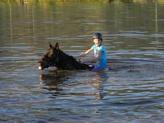 Sleepy Hollow Horse Riding