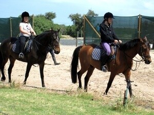 Thandeka Stables