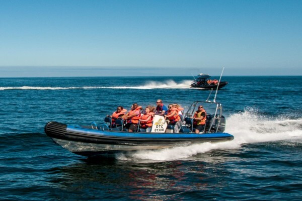 Waterfront Pirate Boat
