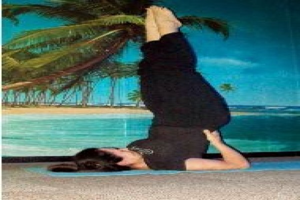 Sivaya Yoga Studio