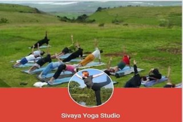 Sivaya Yoga Studio