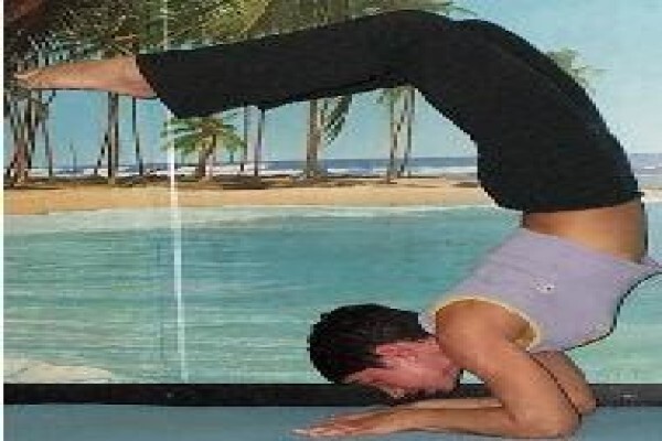 Sivaya Yoga Studio