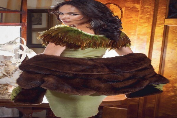 Moonstruck Experience Antiques
