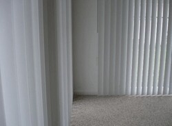 Blinds: All Of Them