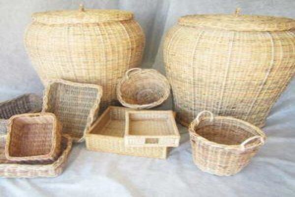 Cane World