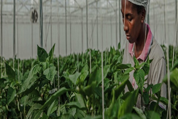 Vegtech 2000 (Pty) Ltd