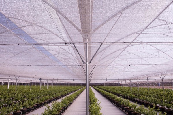 Vegtech 2000 (Pty) Ltd