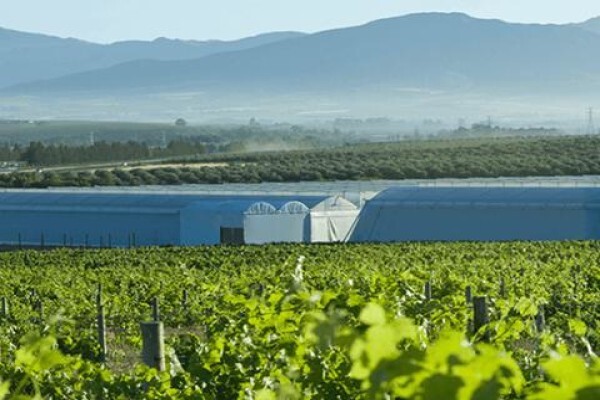 Vegtech 2000 (Pty) Ltd