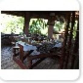 Treehouse River Lodge