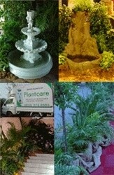 Plantcare