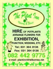 The Plant Inn-Hired Plant & Flowers
