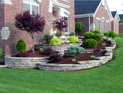 Magic Lawns