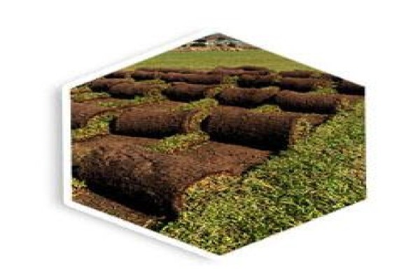 Roll-On-Lawn