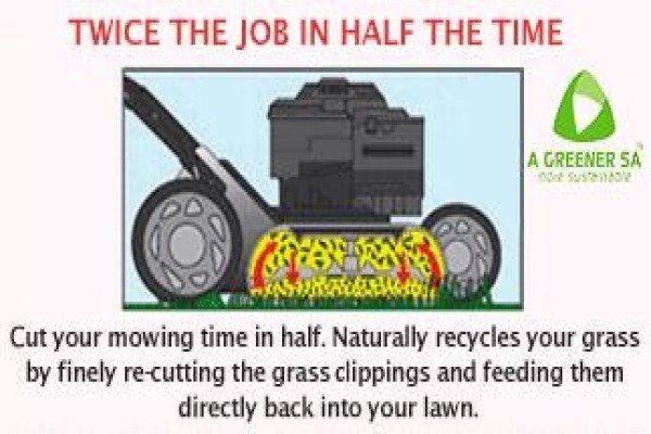 Lawn Star