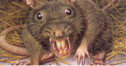 Pestbusters